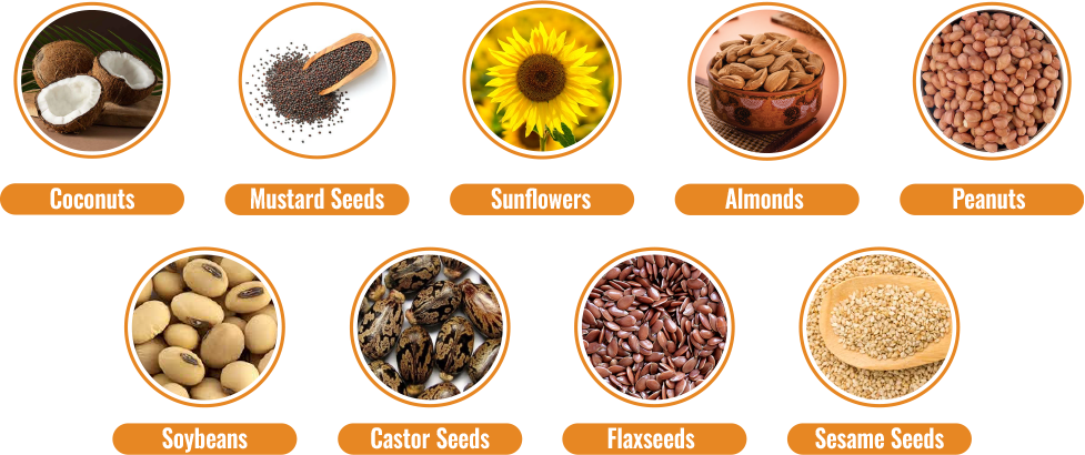 Cocunut seed, Mustard seed,Sunflower seed,Almond Seed,Peanuts seed,Soyabean seed,Castrol seed,Flax seed,Seasam seed